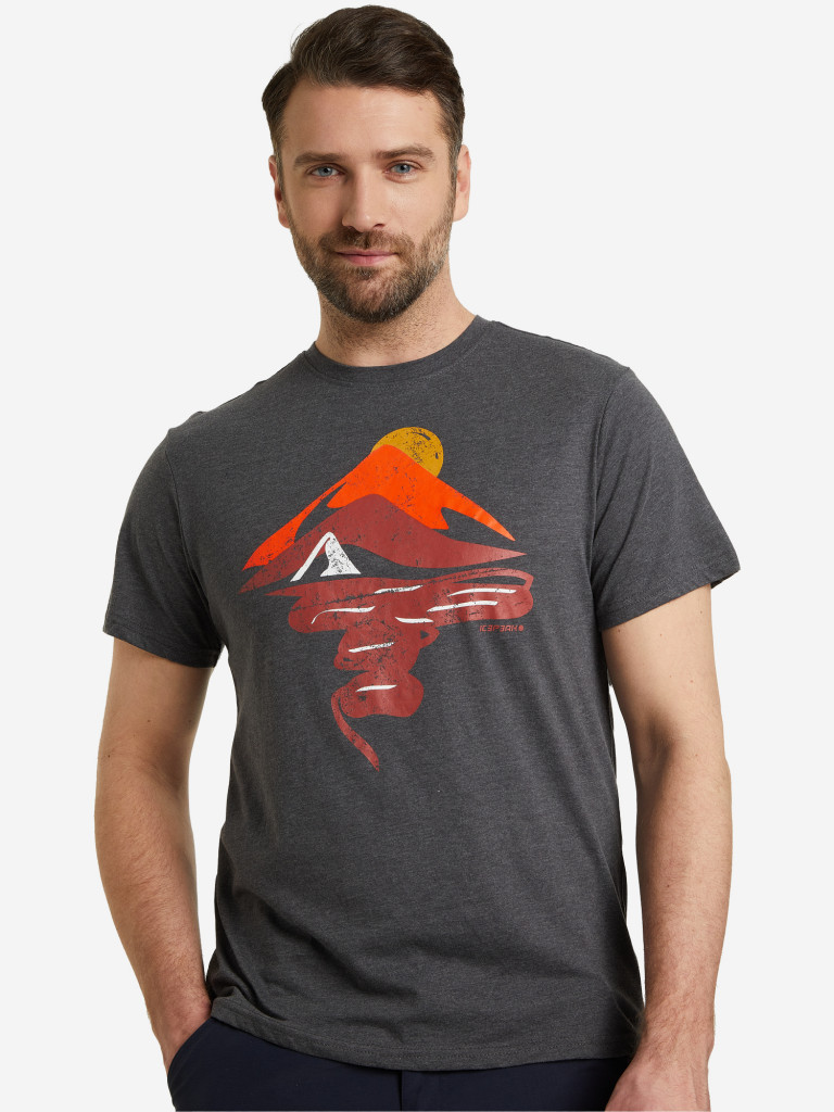 Футболка мужская IcePeak Yamal