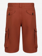 Шорты мужские Regatta Shorebay — фото №10