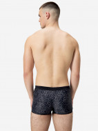 Плавки-шорты мужские Speedo Valmilton — фото №2