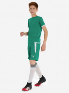 Футболка для мальчиков PUMA Teamliga Jersey Jr — фото №4