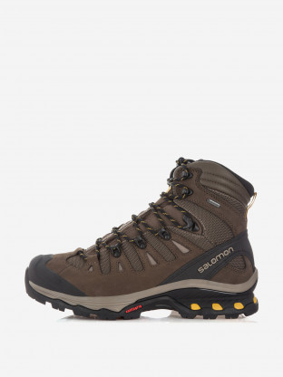 Ботинки мужские Salomon Quest 4D 3 GTX 