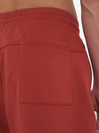 Шорты мужские оверсайз Demix — фото №6