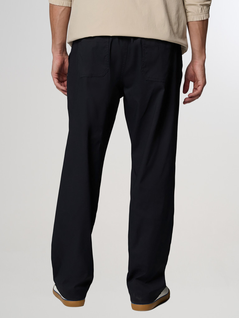 Брюки мужские Columbia Landroamer Scout Pant — фото №3