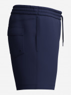 Шорты плавательные мужские Speedo Medley Logo — фото №13