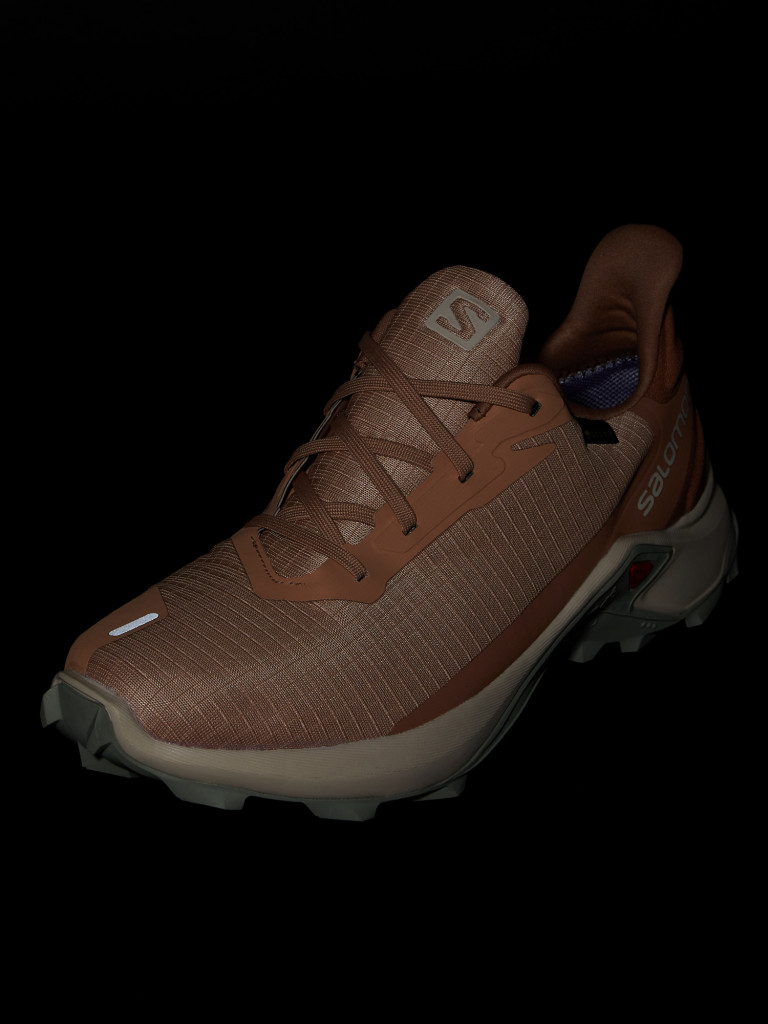 Кроссовки женские Salomon Alphacross 3 GTX — фото №9