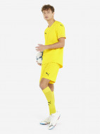 Шорты мужские PUMA Teamfinal — фото №3