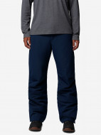 Брюки горнолыжные мужские Columbia Bugaboo VI Pant