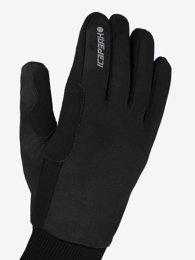 IcePeak Holtville қолғабы