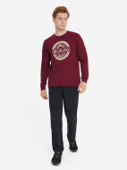 Columbia Csc Seasonal Logo Ls Tee ерлер лонгсливі — фото №4