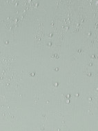 Athlex әйелдер сөмкесі — фото №12