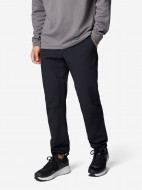 Брюки мужские Columbia Black Mesa Warm Pant — фото №4