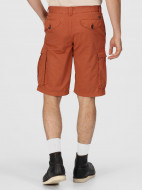 Шорты мужские Regatta Shorebay — фото №2