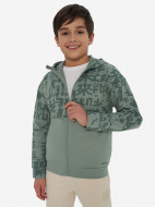 Толстовка для мальчиков Demix