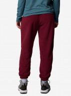 Брюки женские Columbia Sequoia Grove Fleece Pant — фото №3