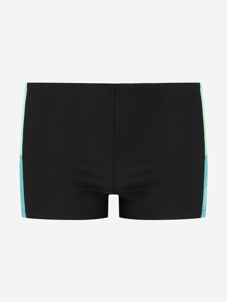 Плавки-шорты для мальчиков Speedo Dive — фото №8