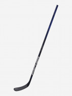Fischer RC One IS2 SR, P92 хоккей имек таяғы