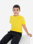 Футболка для мальчиков GSD