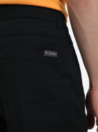 Брюки утепленные мужские Columbia Flex ROC II Lined Pant — фото №4