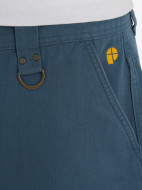 Protest ерлер шорты — фото №8