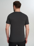 Columbia Parsons Point SS Logo Tee ерлер футболкасы — фото №3