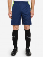 Шорты мужские PUMA Team Liga