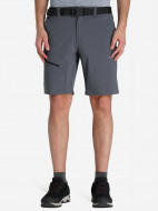 Шорты мужские Zanier — фото №2