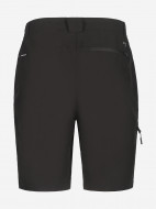 Шорты мужские IcePeak Berwyn — фото №2