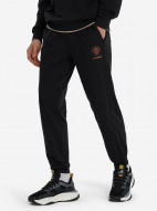 Брюки мужские Demix