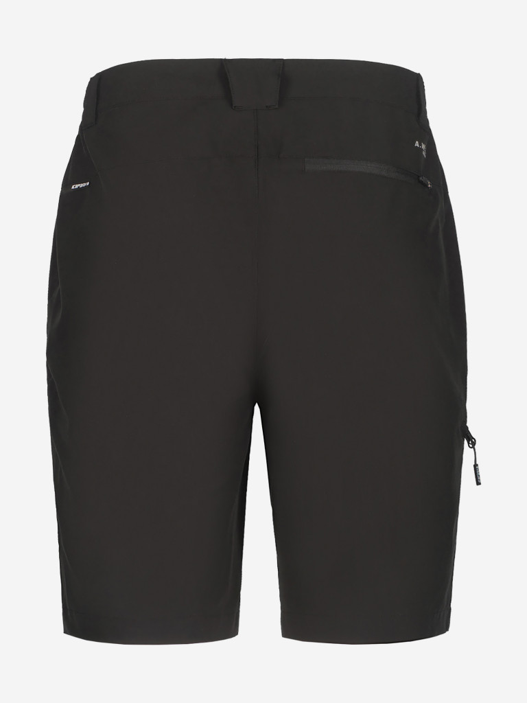 Шорты мужские IcePeak Berwyn — фото №2