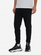 Брюки мужские Demix