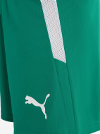 PUMA Teamliga Jr ұлдар шорты — фото №5