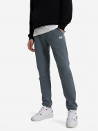 Брюки мужские Ellesse