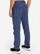 Брюки мужские Columbia Silver Ridge Cargo Pant — фото №2