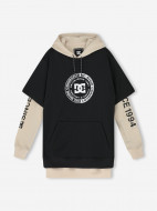 Худи мужское DC Shoes Dryden