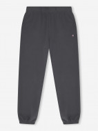 Champion ерлер шалбары