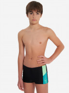 Плавки-шорты для мальчиков Speedo Dive