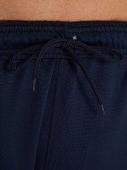 Брюки мужские Kappa Darente — фото №6