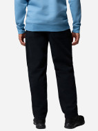 Брюки утепленные мужские Columbia Pitchstone Warm Lined Pant — фото №3