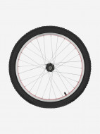 Stern 20" велосипедінің артқы дөңгелегі