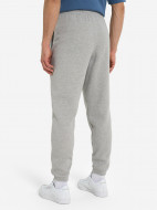 Брюки флисовые мужские Reebok Ri Brand Proud — фото №3