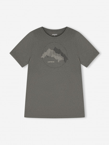 Футболка мужская IcePeak Bearden