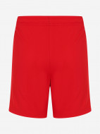 PUMA Teamliga Jr ұлдар шорты — фото №8