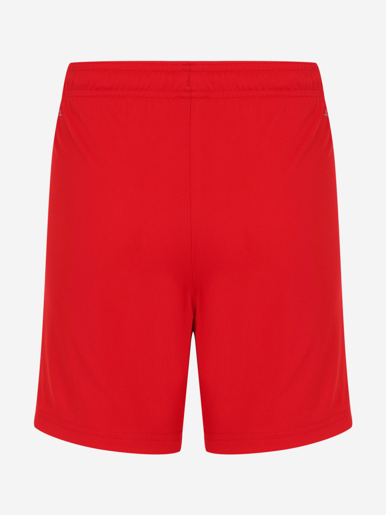 PUMA Teamliga Jr ұлдар шорты — фото №8