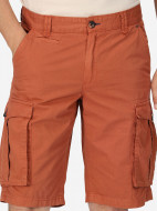 Шорты мужские Regatta Shorebay — фото №4