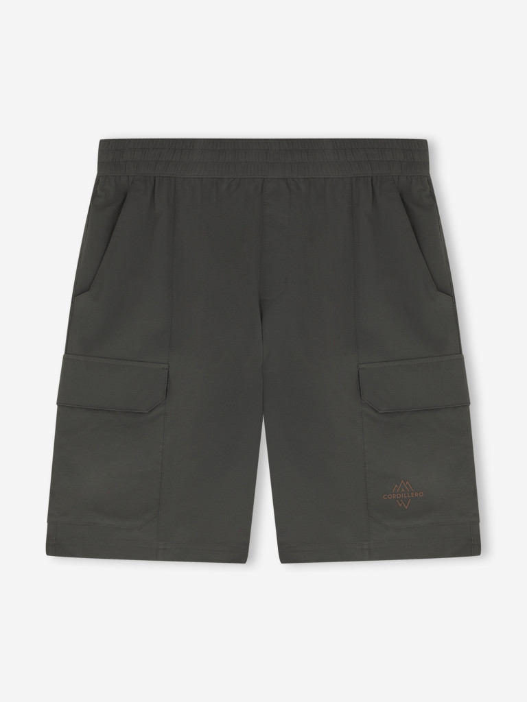Cordillero ерлер шорты — фото №10