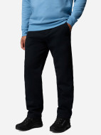 Брюки утепленные мужские Columbia Pitchstone Warm Lined Pant