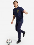 Брюки мужские PUMA Figc Winner — фото №3