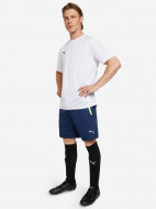 Шорты мужские PUMA Team Liga — фото №3