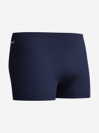 Плавки-шорты мужские Speedo Logo — фото №14