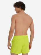 Шорты плавательные мужские Termit — фото №2